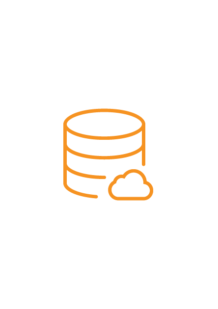 database-01 database-01